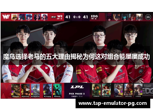 魔鸟选择老马的五大理由揭秘为何这对组合能屡屡成功