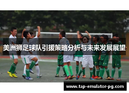 美洲狮足球队引援策略分析与未来发展展望