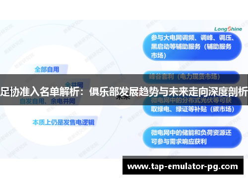 足协准入名单解析：俱乐部发展趋势与未来走向深度剖析