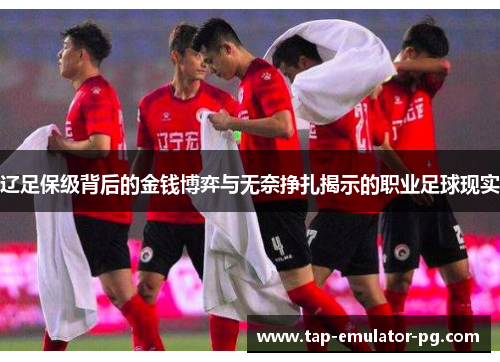 辽足保级背后的金钱博弈与无奈挣扎揭示的职业足球现实